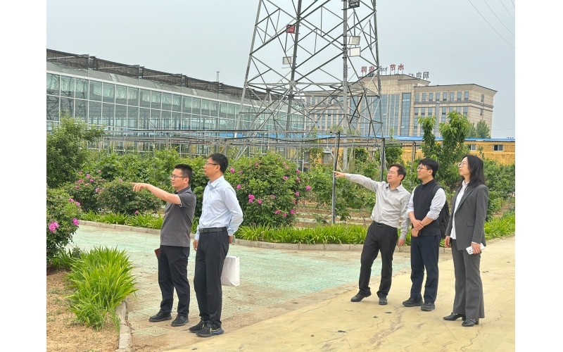 河北证监局监管处领导莅临润农节水开展例行走访调研，指导公司高质量发展