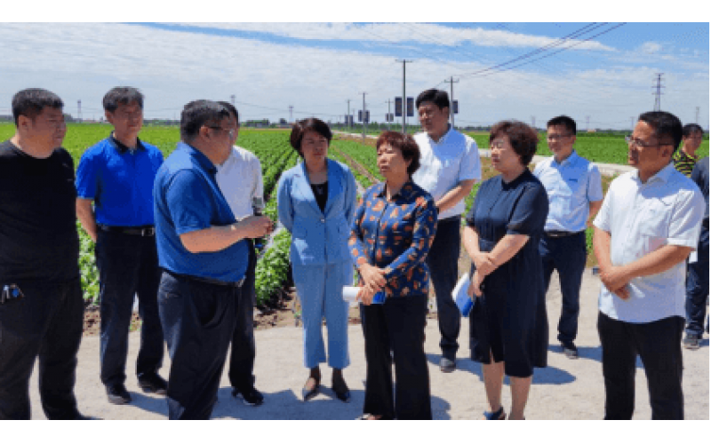 Leaders from the Department of Agriculture and Rural Affairs of Hebei Province and other relevant departments visited our company for inspection.